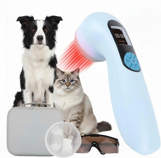 Dispositivo, 808 nm, rosso, per cani: terapia a luce rossa a infrarossi per alleviar